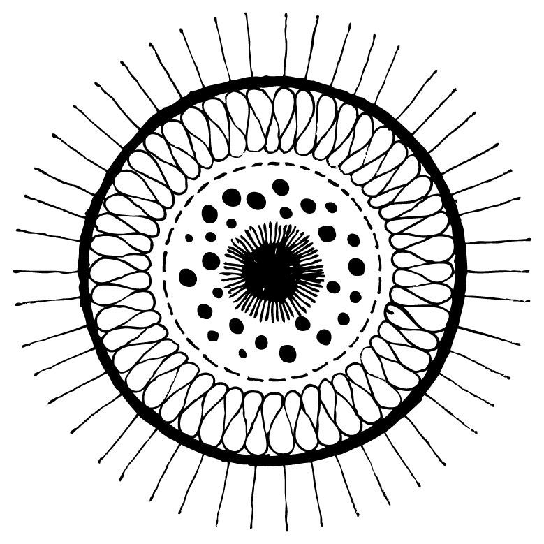 Ink Wheel 1 (2008) by Diane Karner